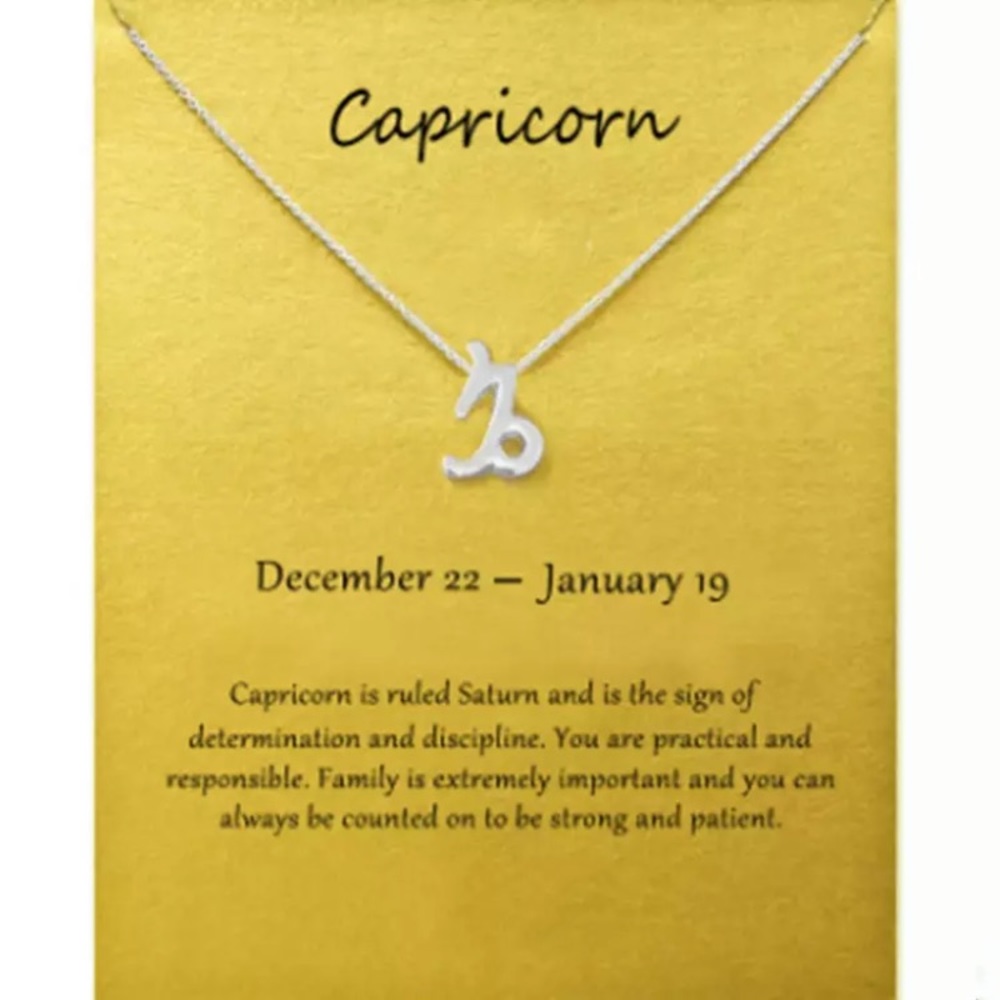 Capricorn ♑️ Zodiac Chains Necklace